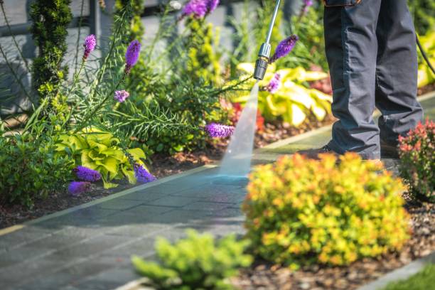 Best Winterizing Services  in North Bennington, VT